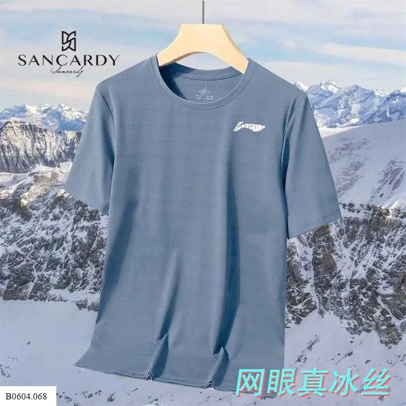ÁO THUN CHO NAM  Sỉ 55( màu xanh nhạt hơn ảnh )