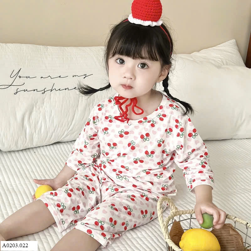 BỘ MẶC NHÀ HỌA TIẾT DỄ THƯƠNG Sỉ 132k