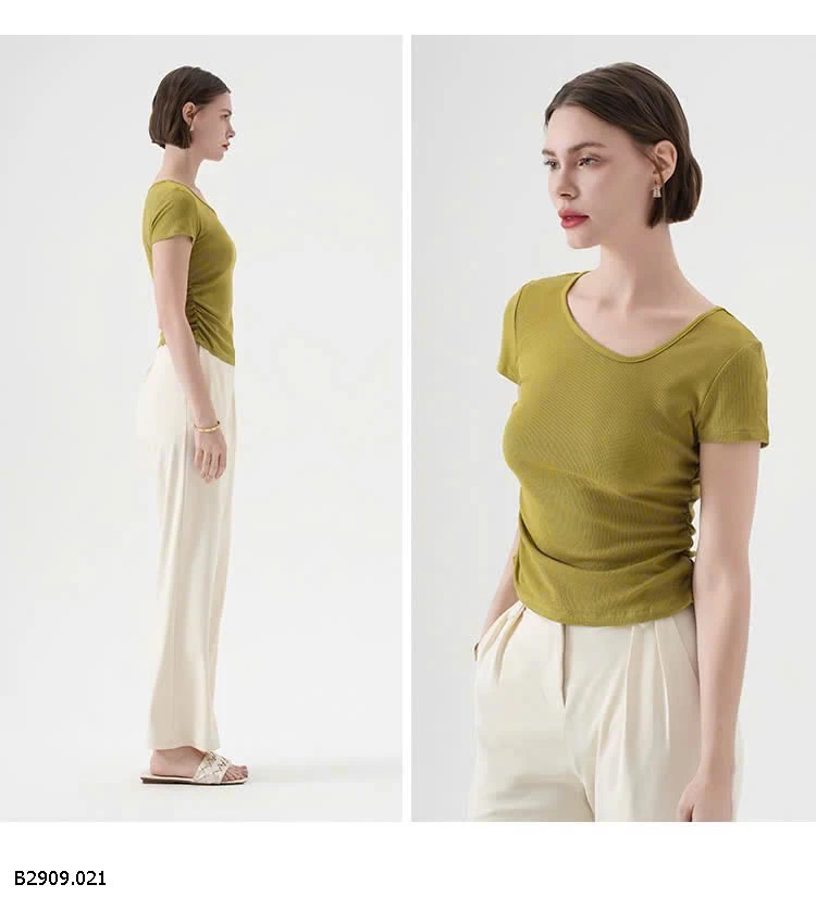 ÁO THUN CANVAUS   Giá sỉ 148k