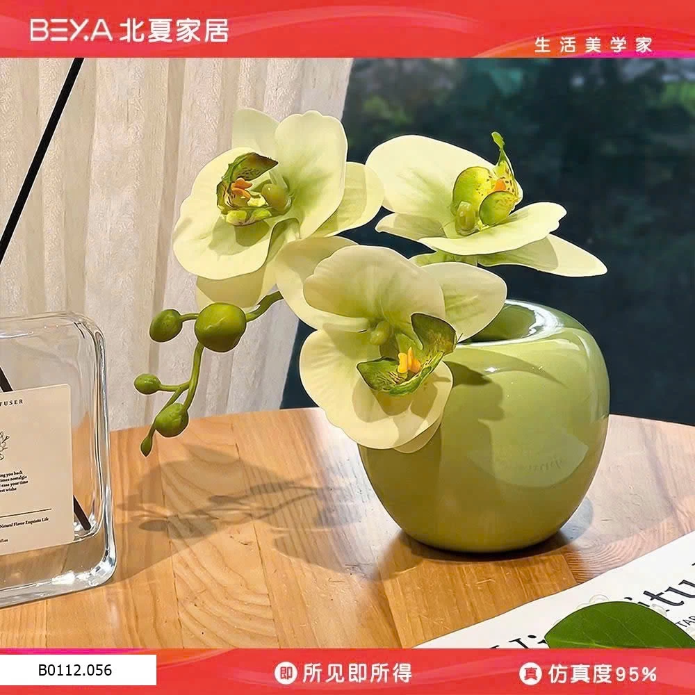 BÌNH HOA LAN MINI DECOR   Giá sỉ 110k