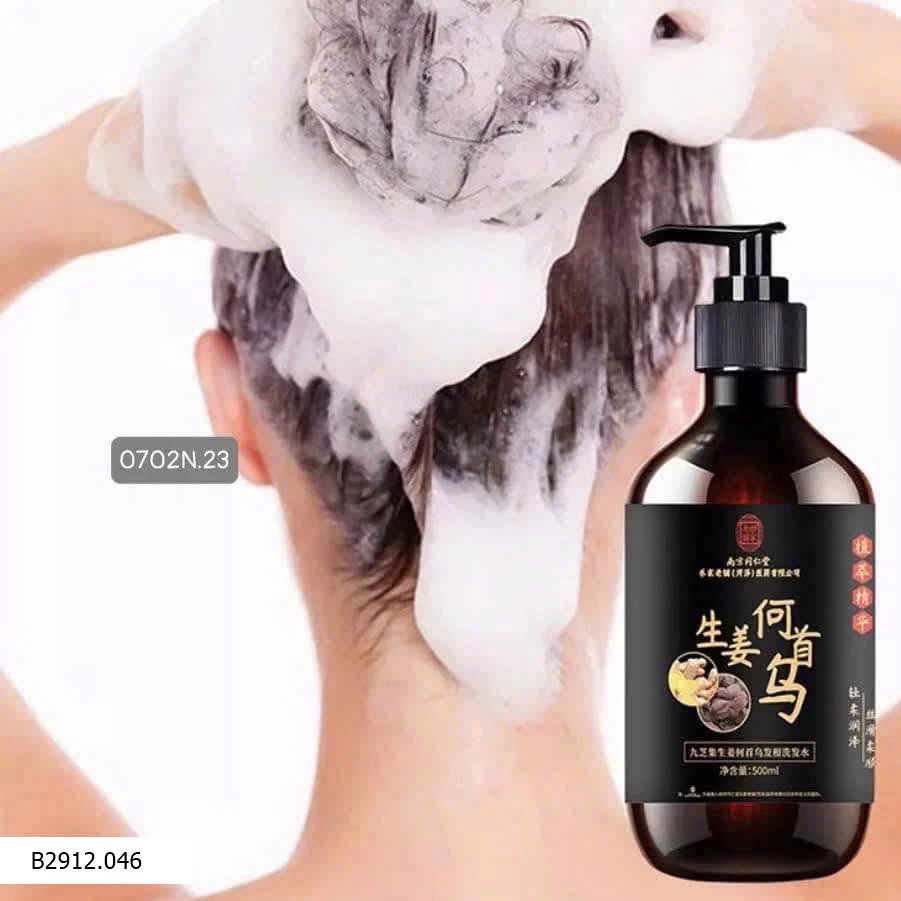 DẦU GỘI GỪNG HÀ THỦ Ô ĐỒNG NHÂN ĐƯỜNG   Giá sỉ 115k/2 chai