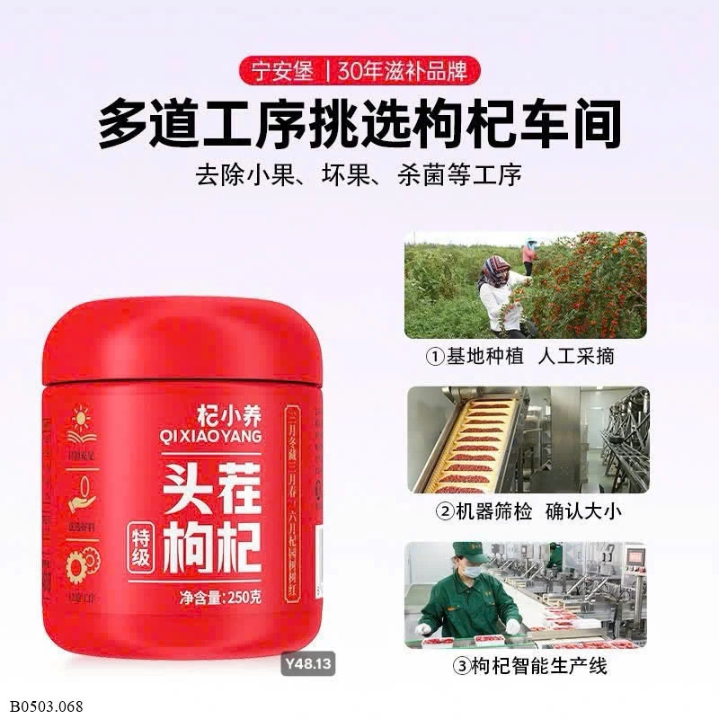 KỶ TỬ NINH HẠ Sỉ 200k/ 1 kg 